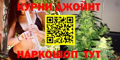 mdpv Можга