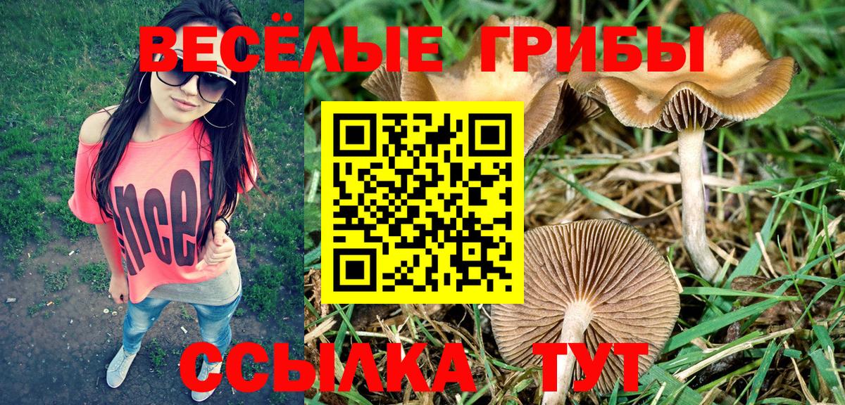Псилоцибиновые грибы мицелий Соль-Илецк