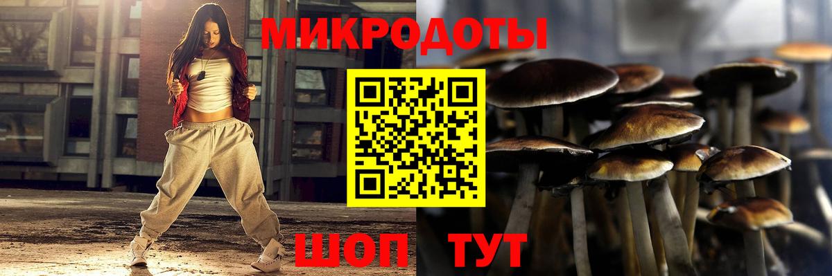 закладка  Галлюциногенные грибы ЛСД  Вход с VPN  Псилоцибиновые грибы Psilocybe  Соль-Илецк 